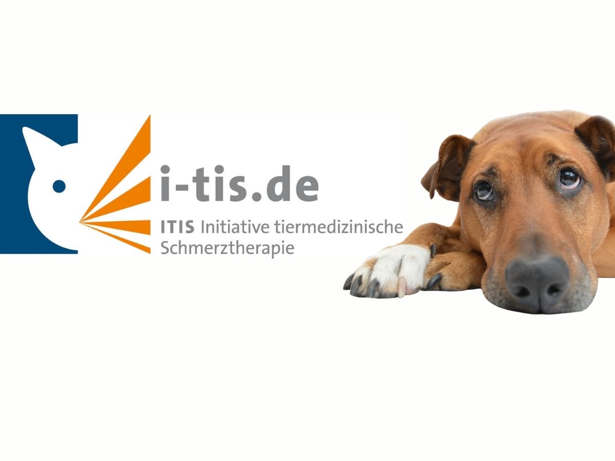 ITIS: Initiative tiermedizinische Schmerztherapie