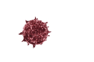 coronavirus-ivermectin.jpeg