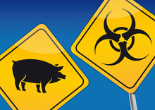 Schilder: Warnung vor der Schweinepest