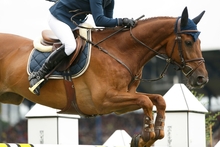 Betrachtung ausgewählter Studien zu Doping und Nachweiszeiten im Pferdesport