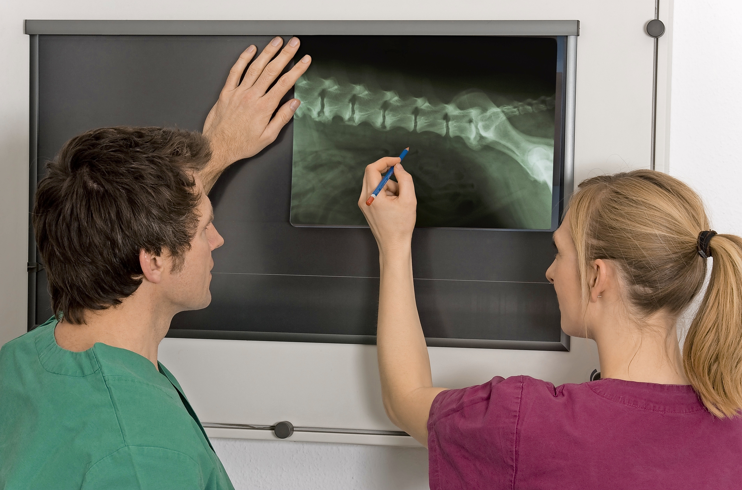 Röntgenaufnahmen sind eine gute Möglichkeit, eine Übersicht über das Abdomen zu erhalten, und können Hinweise auf Probleme im Harntrakt geben.