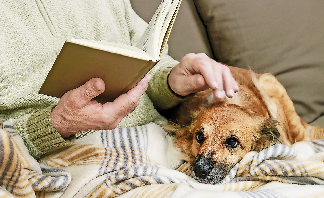 Bei der Pflege alter Haustiere liegen Glück und Trauer ganz nah beieinander.