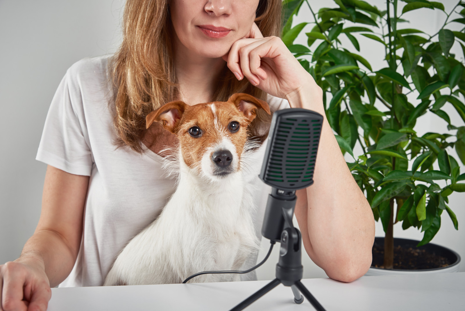 Geschichten aus dem Praxisalltag, aber auch handfeste Hilfestellung für Tierhalter: Podcasts sind vielseitig und interessieren viele Praktiker.