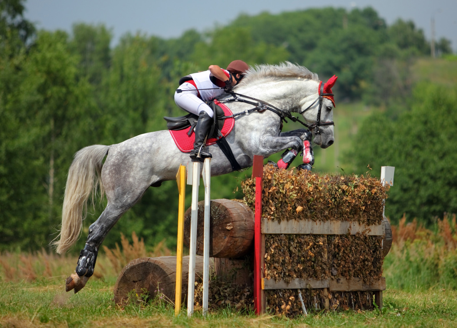 Gerade auf mehrtägigen Veranstaltungen mit großem Einzugsbereich brauchen Pferde Schutz vor dem Equinen Herpesvirus 1.