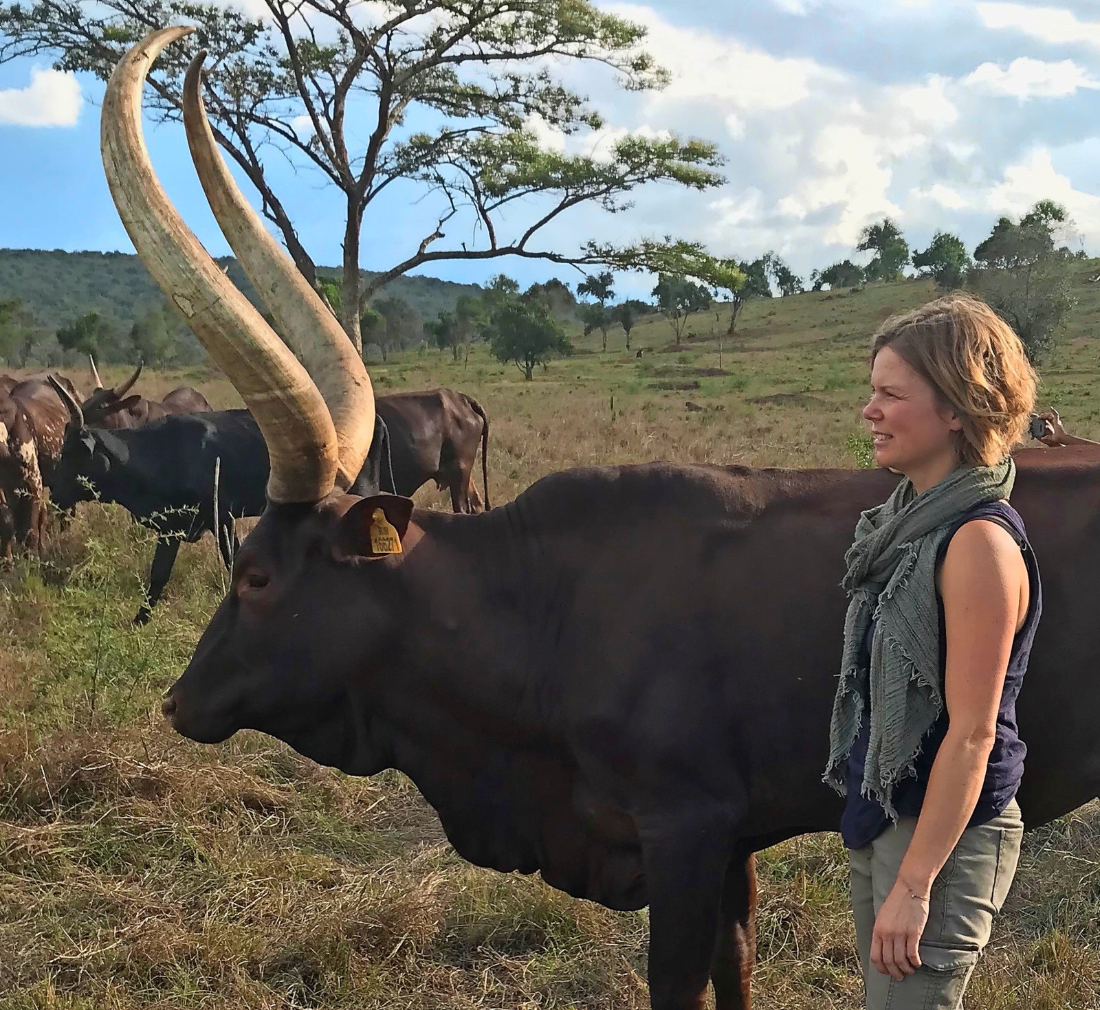 Helga Keinprecht mit einem Ankole-Rind im Norden von Ruanda