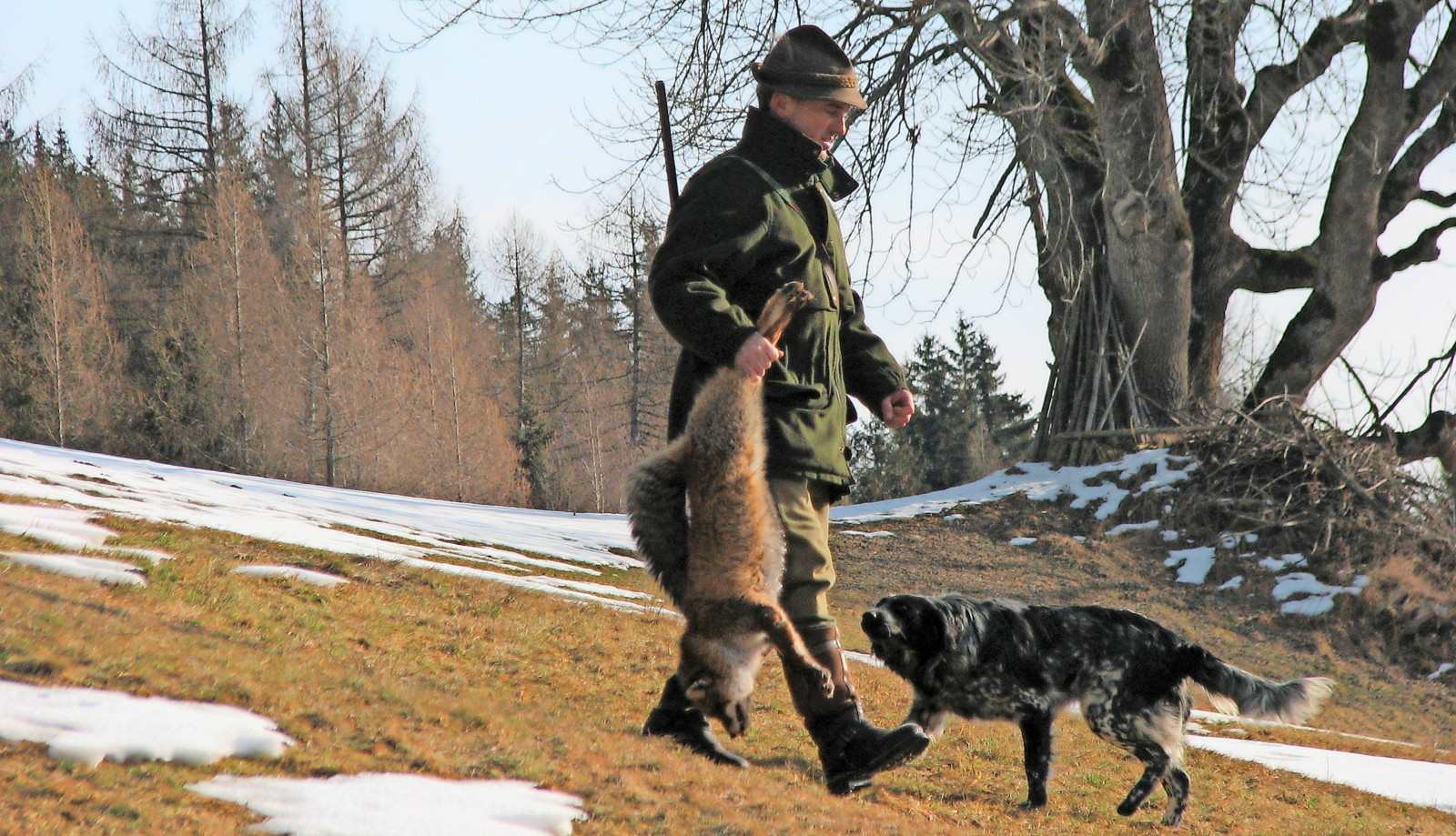 Jagdhunde sowie Jägerinnen und Jäger haben durch den Kontakt zu Wild ein erhöhtes Infektionsrisiko.